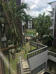 Palm Grove Condominium (D19), Condominium #378386981